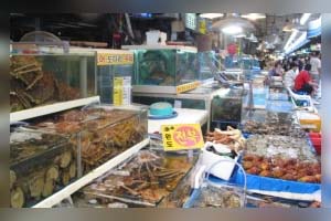 ソウルの魚市場・・・鷺梁津水産市場！安くておいしいものとの出会い